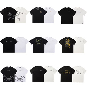 Arcteryx crew neck short-sleeved loose-fitting athletic T-shirt-5213  